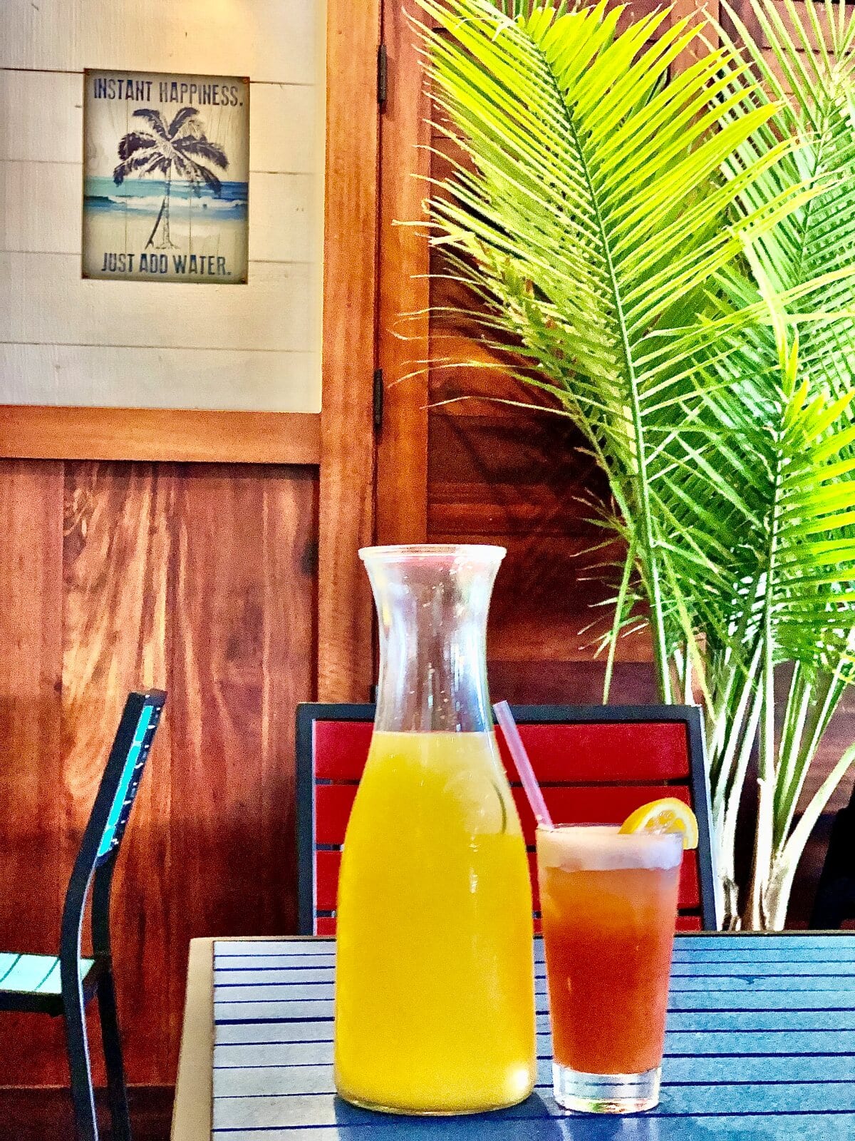 Tortuga Bar and Grille Review